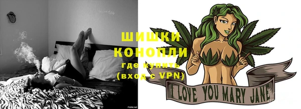 тгк Каменногорск