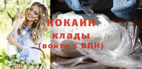 тгк Каменногорск