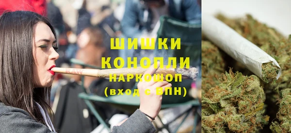 тгк Каменногорск